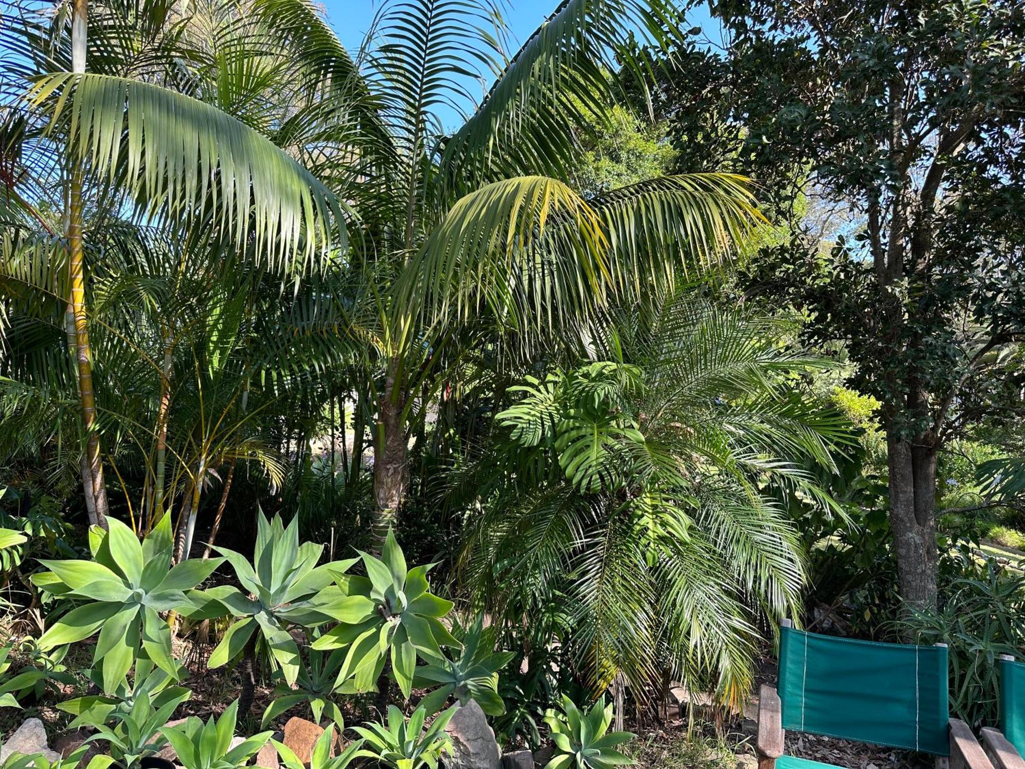 Palm Beach Bed & Breakfast מראה חיצוני תמונה
