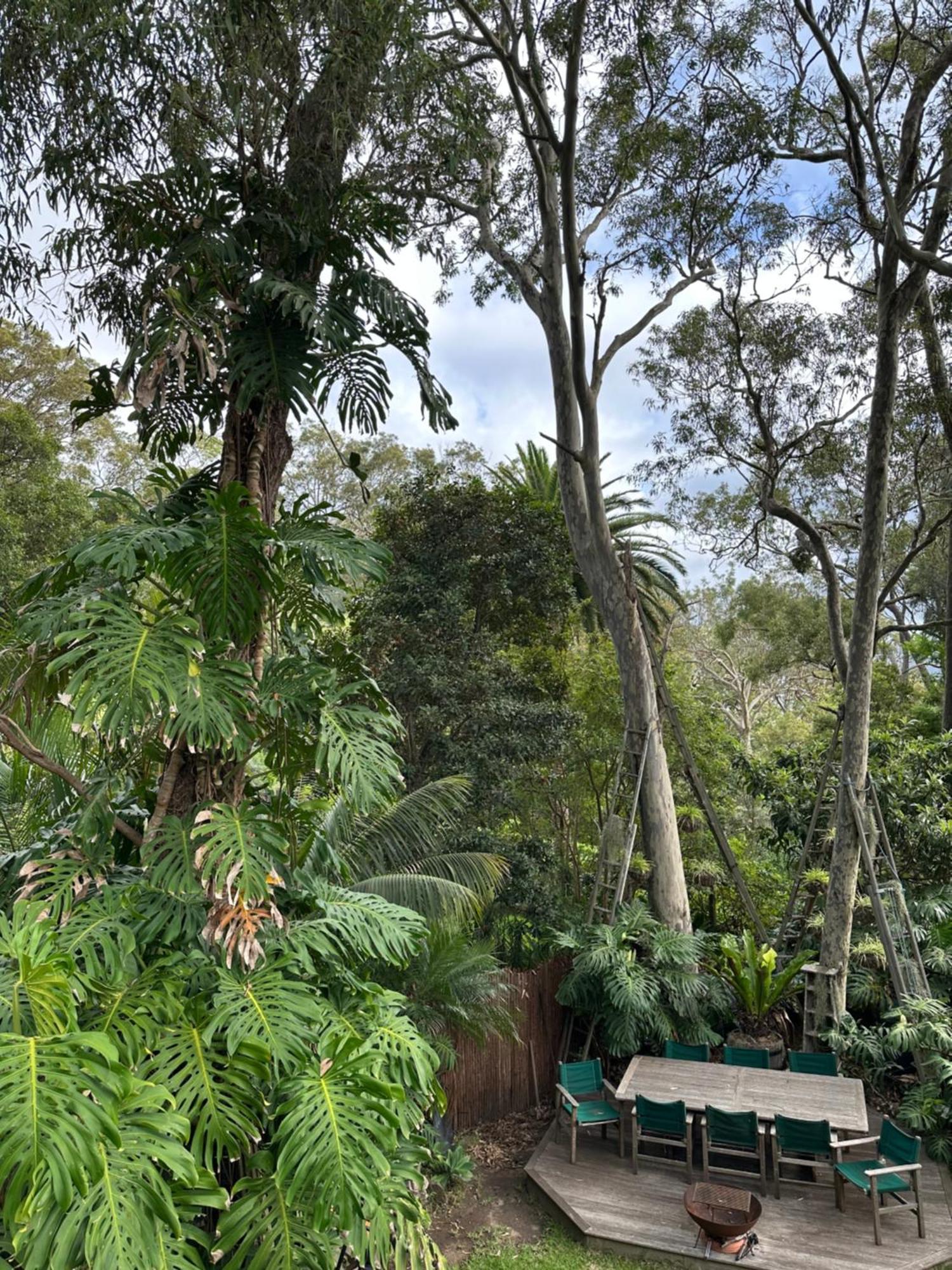 Palm Beach Bed & Breakfast מראה חיצוני תמונה